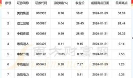 2024年信息价最新爆料,信息价动态解析与市场趋势前瞻